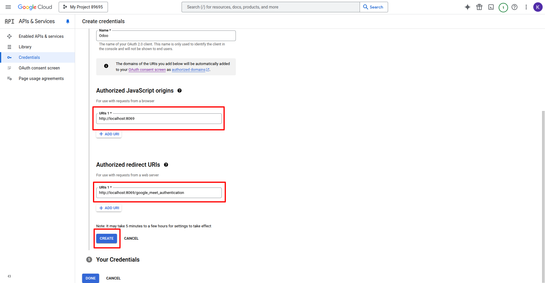 Your company's URL and Authorized redirect URIs section
